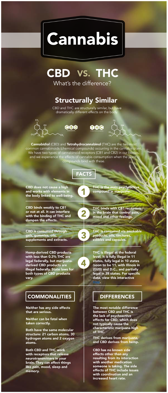 Image by Andrew Weech, Head Magazine, https://headmagazine.com/cbd-vs-thc/
