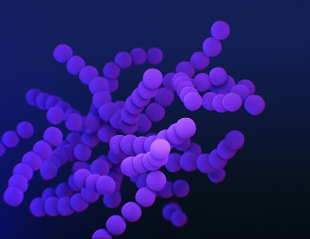 Both self-heal and cannabis minimize bacteria and can serve as antibiotics. Photo via Unsplash.com