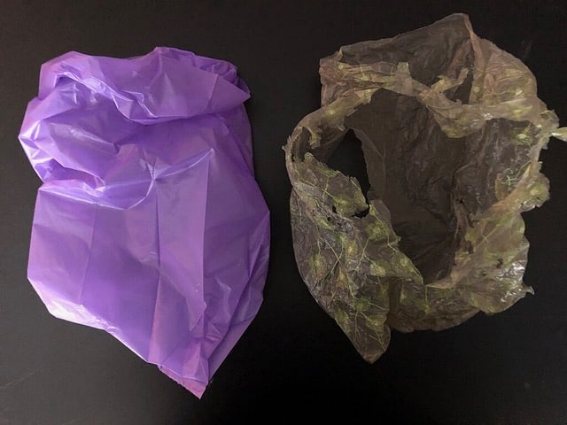 Petroleum plastic bag next to decomposing hemp plastic bag/ Photo by Tracey McTague, CC BY-SA 4.0 via Wikimedia Commons