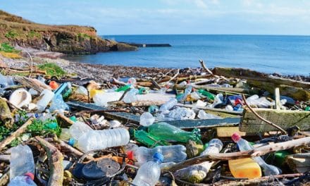 Plastic Pollution and the Weed Solution
