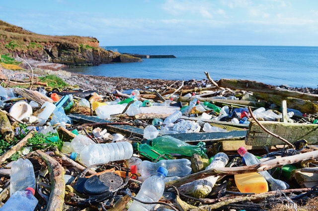 Plastic Pollution and the Weed Solution