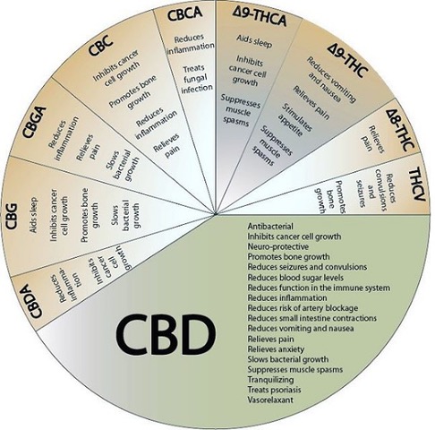 Cannabis can’t get you high unless you alter the chemical structure of its natural form by applying heat to convert its THCA into THC. Image by Renegade98 /CC BY-SA 2.0 