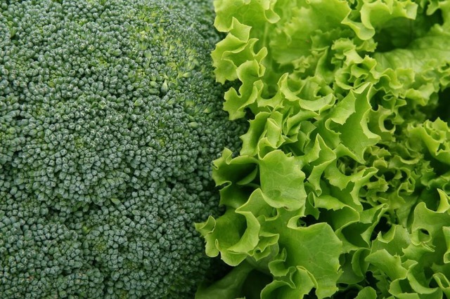 Nutritionally, raw cannabis is in the same category as kale and broccoli.