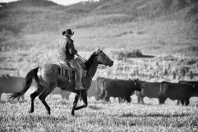 Photo credit: jacksonholetraveler.com/CC BY-SA 2.0 