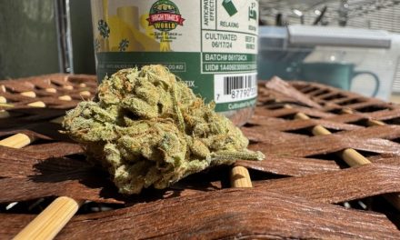 Casino Kush – Strain Review