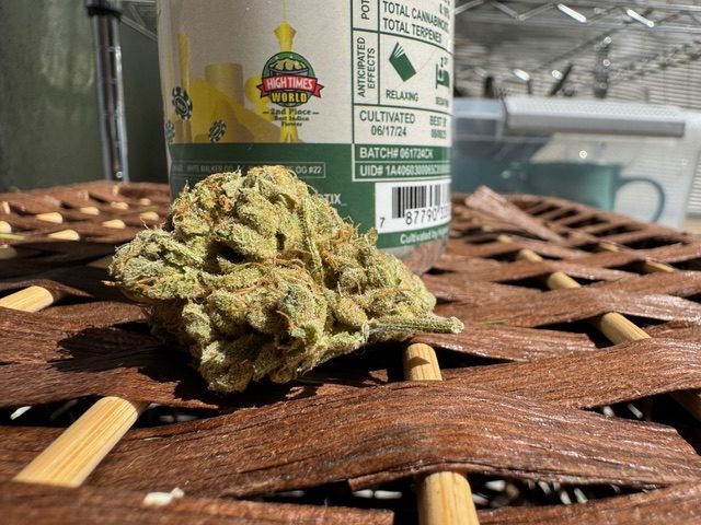 Casino Kush – Strain Review