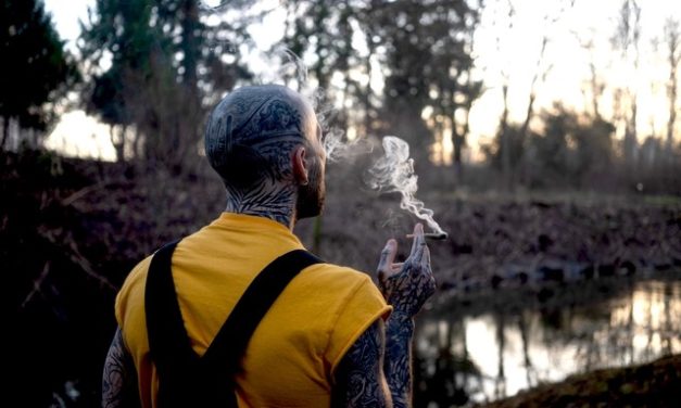 The Canada and US Pre-Roll Scene – What’s Going On?
