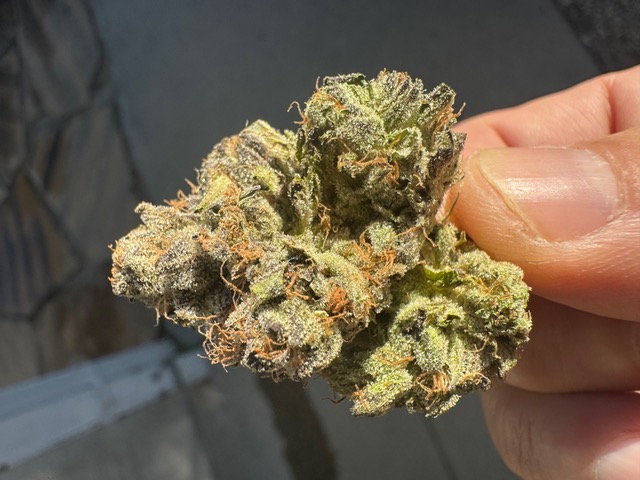 Grape Gasby by Cannabiotix – Strain Review