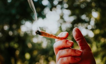 What’s At the Top of the Cannabis Sales Charts? Pre-Rolls Selling Up a Storm